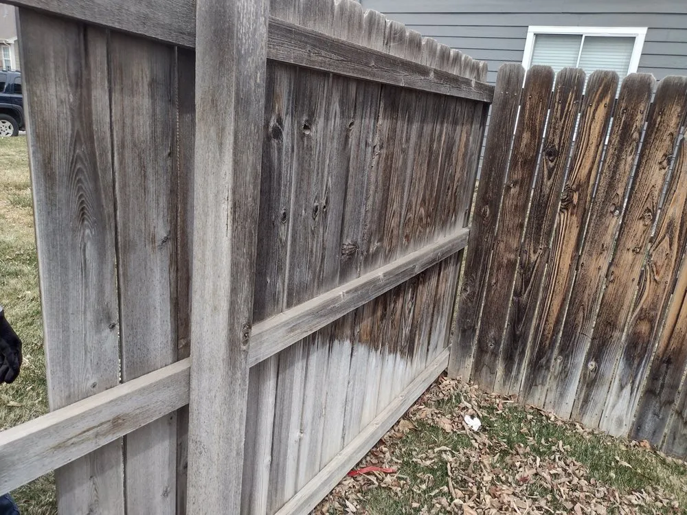 Reliable lawn mowing service for year-round maintenance across Denver, CO - Primos Landscaping