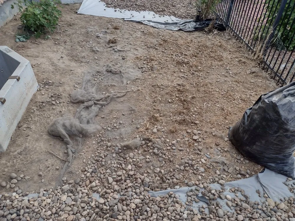 Custom landscape installation near you across Denver, CO - Primos Landscaping