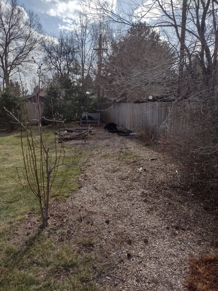 Affordable landscape design experts serving Denver, CO - Primos Landscaping