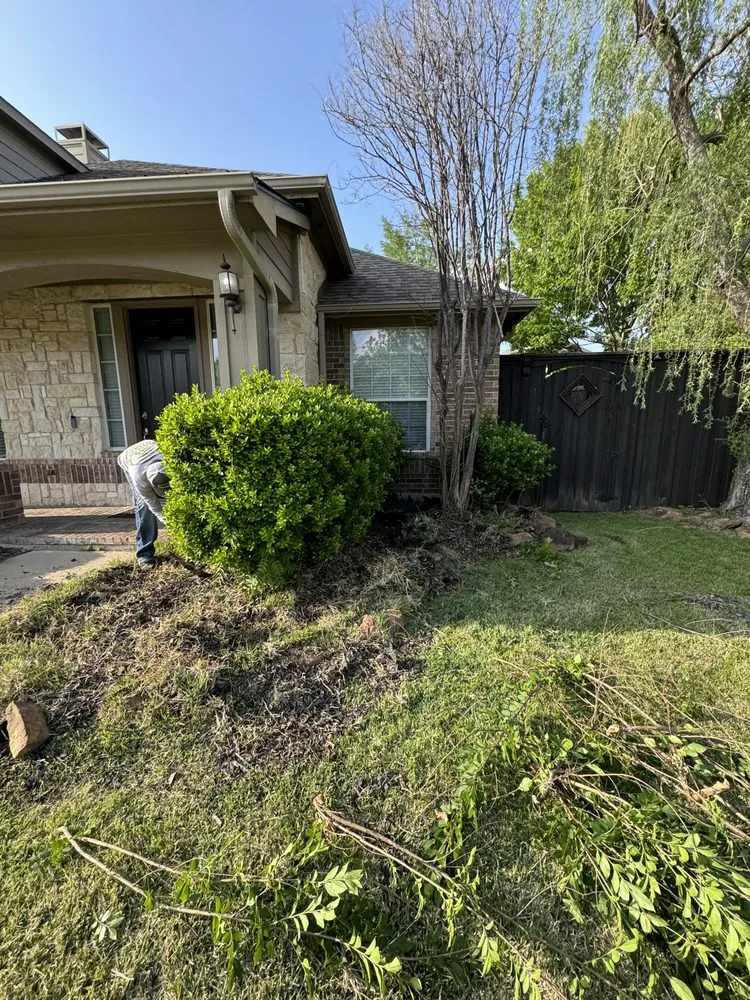 Local landscaping services for year-round maintenance in Little Elm, TX by Primos Landscaping