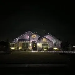 Custom yard cleanup service in Little Elm, TX - Primos Landscaping