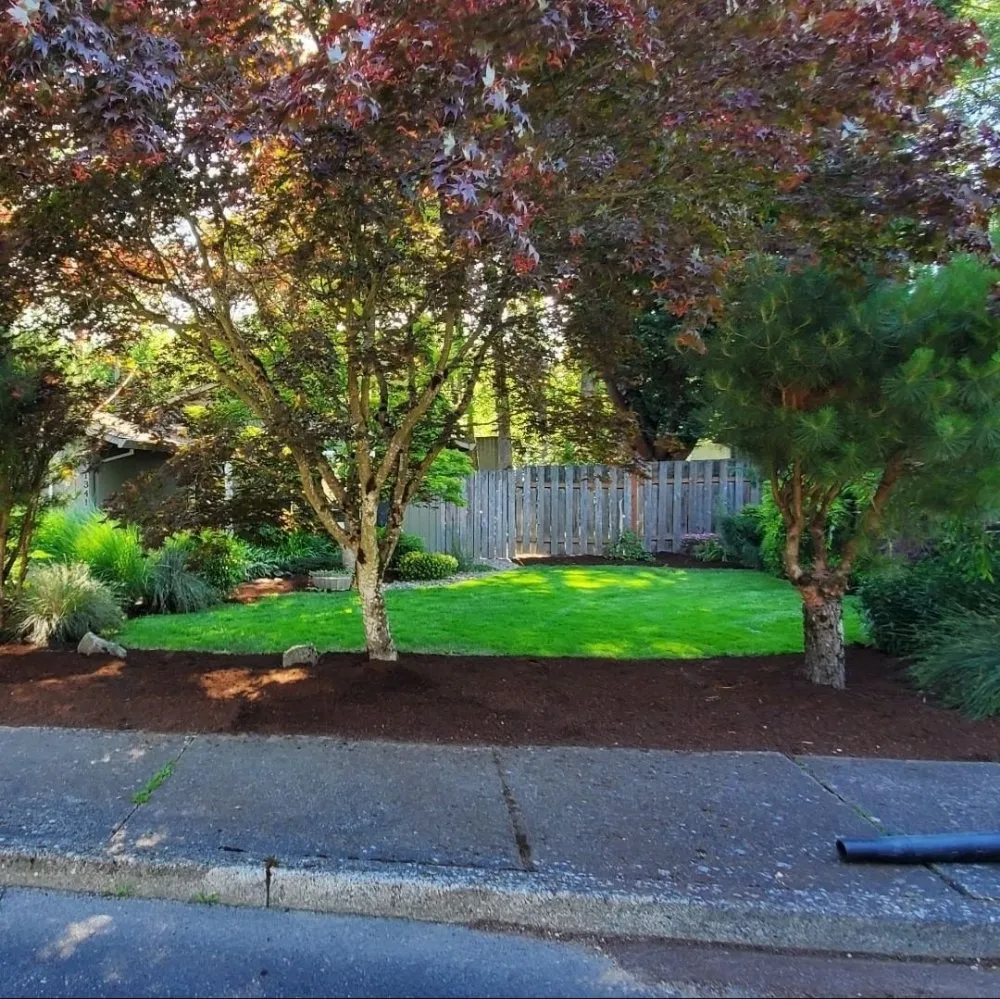 Affordable lawn care service for residential properties in Portland, OR by Primos Landscaping