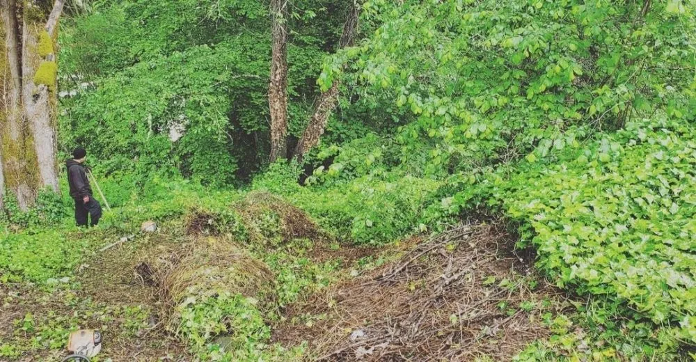 Professional yard maintenance in Portland, OR by Primos Landscaping