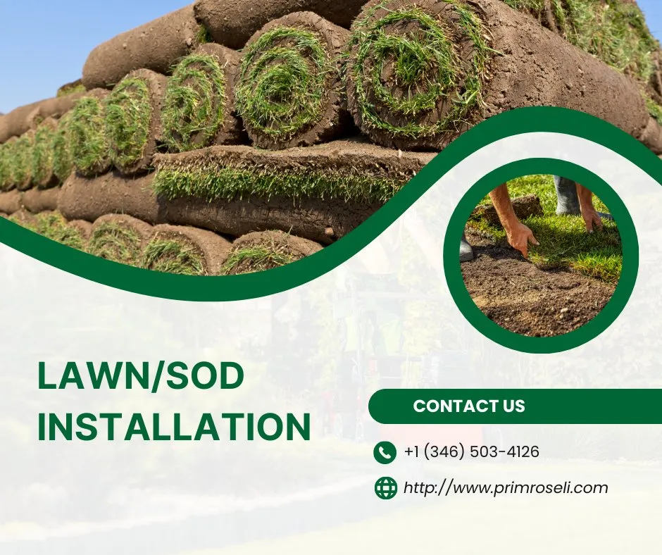 Local yard maintenance in Pearland, TX by Primrose Landscape and Irrigation