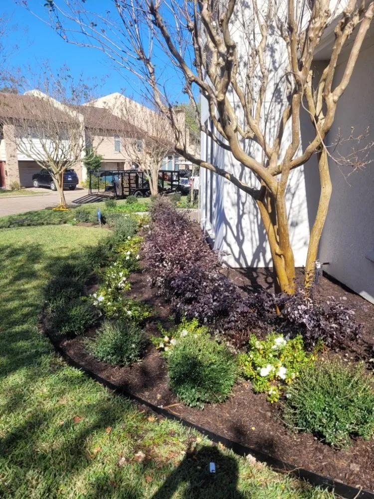 Top-rated garden landscaping in Pearland, TX - Primrose Landscape and Irrigation