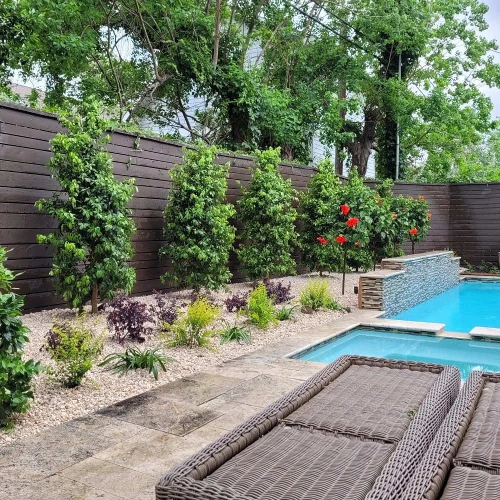 Expert yard cleanup service in Pearland, TX by Primrose Landscape and Irrigation