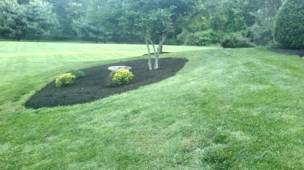 Top-rated lawn mowing service experts serving Woodbine, MD - Primrose Lawn & Landscape