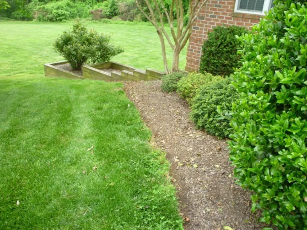 Expert yard cleanup service near you across Woodbine, MD - Primrose Lawn & Landscape