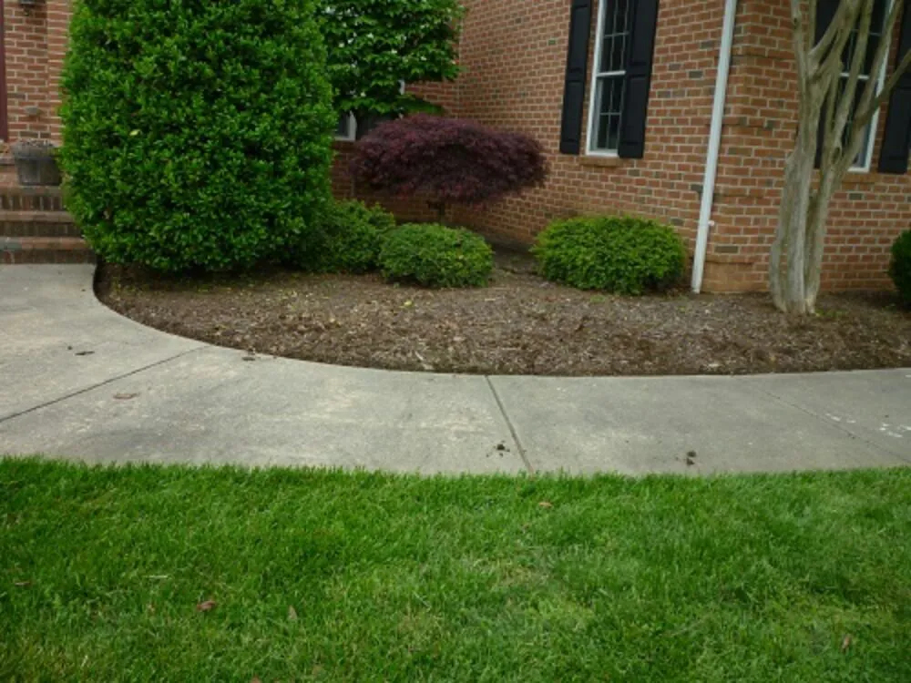 Expert yard maintenance experts serving Woodbine, MD - Primrose Lawn & Landscape