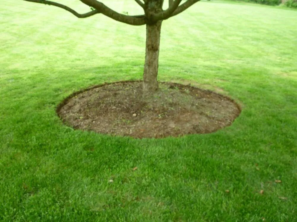 Top-rated residential landscaping in Woodbine, MD - Primrose Lawn & Landscape