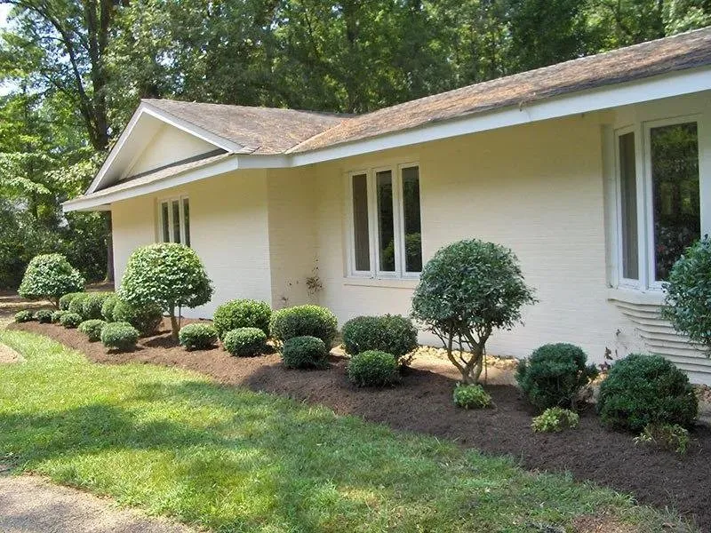 Professional yard cleanup service for beautiful yards across Petersburg, VA - Prince George Nursery
