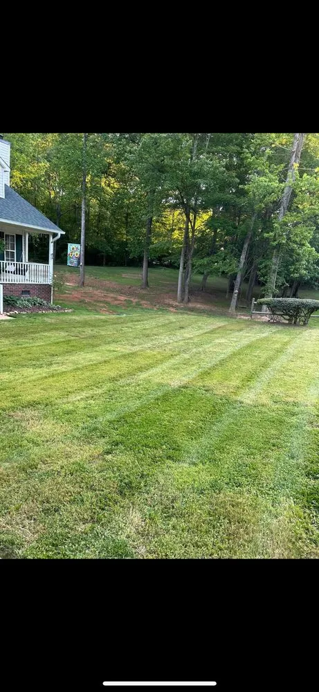 Custom lawn care service near you across Archdale, NC - Prince Lawn Care