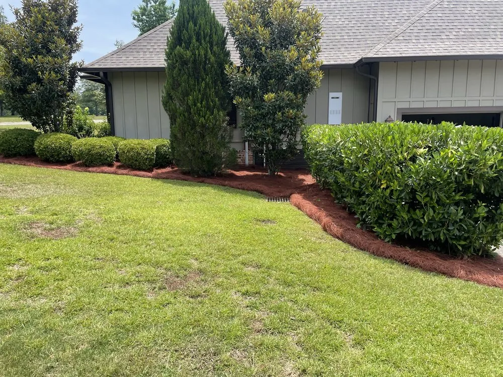 Reliable lawn mowing service in Hattiesburg, MS by Prince Maya Lawn And Construction Services