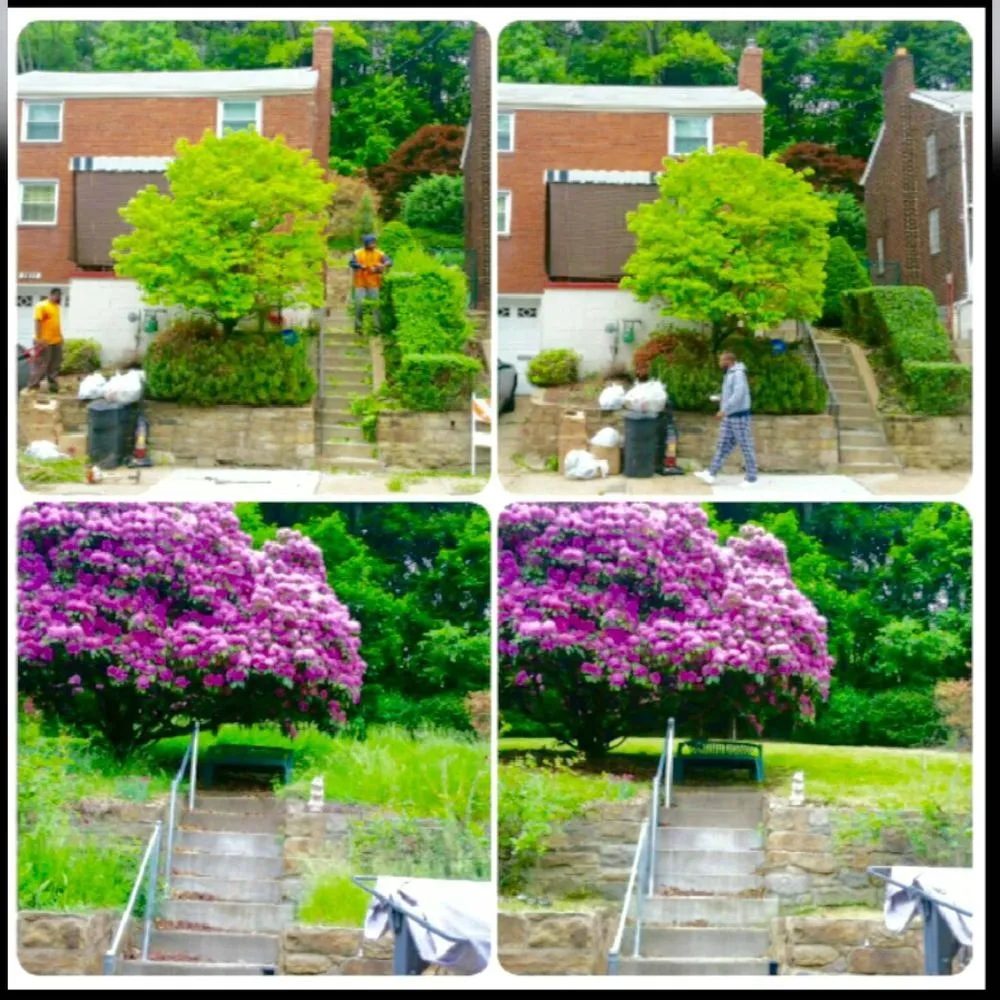 Professional outdoor landscaping for homes across Pittsburgh, PA - Prince of Lawns