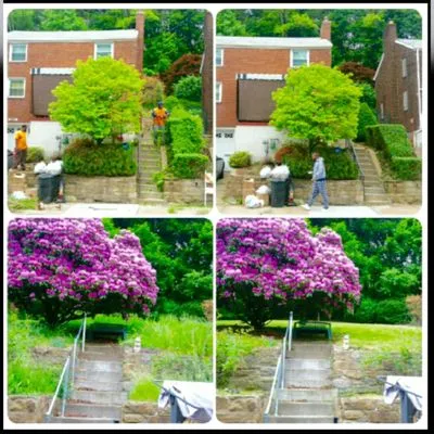 Prince of Lawns Logo