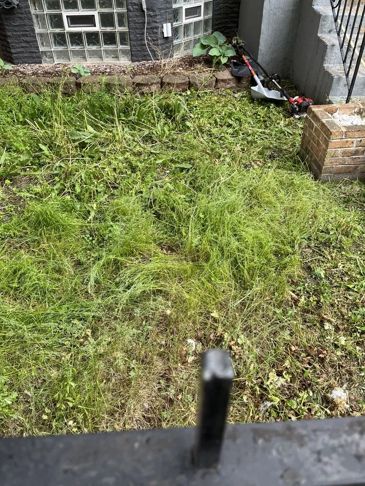 Trusted landscaping services for year-round maintenance across Chicago, IL - Prince Plow Snow