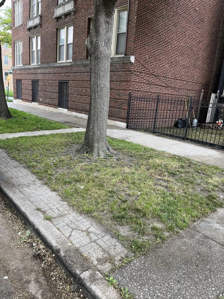 Expert residential landscaping near you across Chicago, IL - Prince Plow Snow