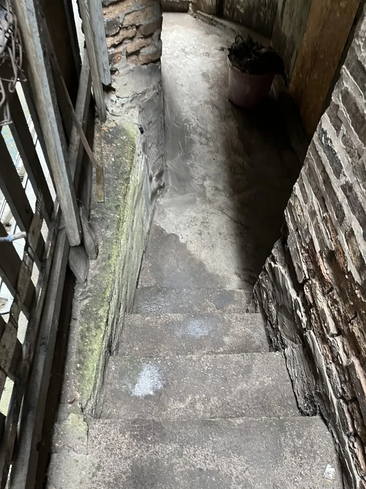 Top-rated outdoor landscaping in Chicago, IL by Prince Plow Snow