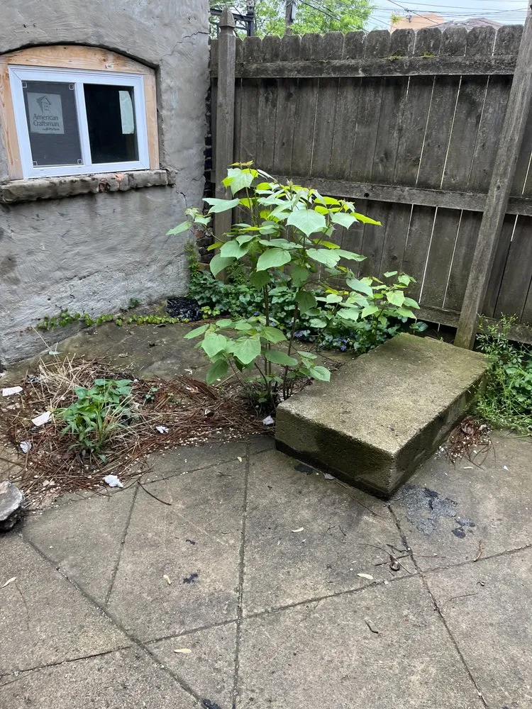 Custom yard maintenance for outdoor upgrades across Chicago, IL - Prince Plow Snow