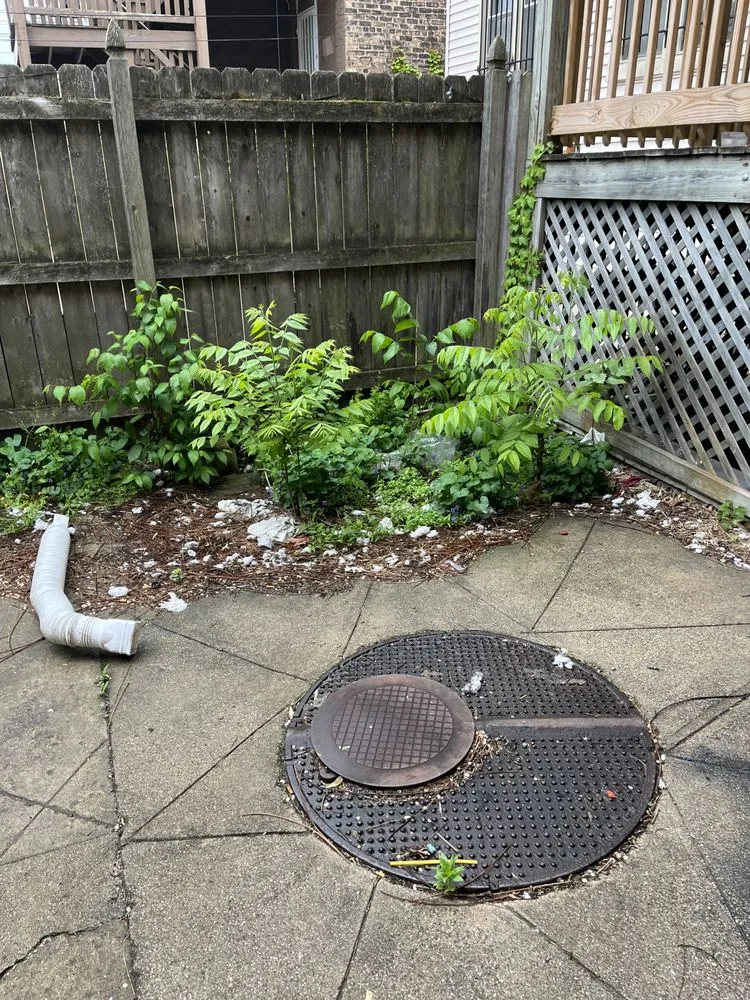 Local landscaping services in Chicago, IL - Prince Plow Snow