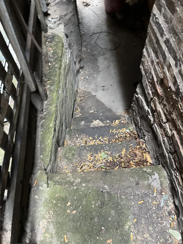 Top-rated outdoor landscaping in Chicago, IL by Prince Plow Snow