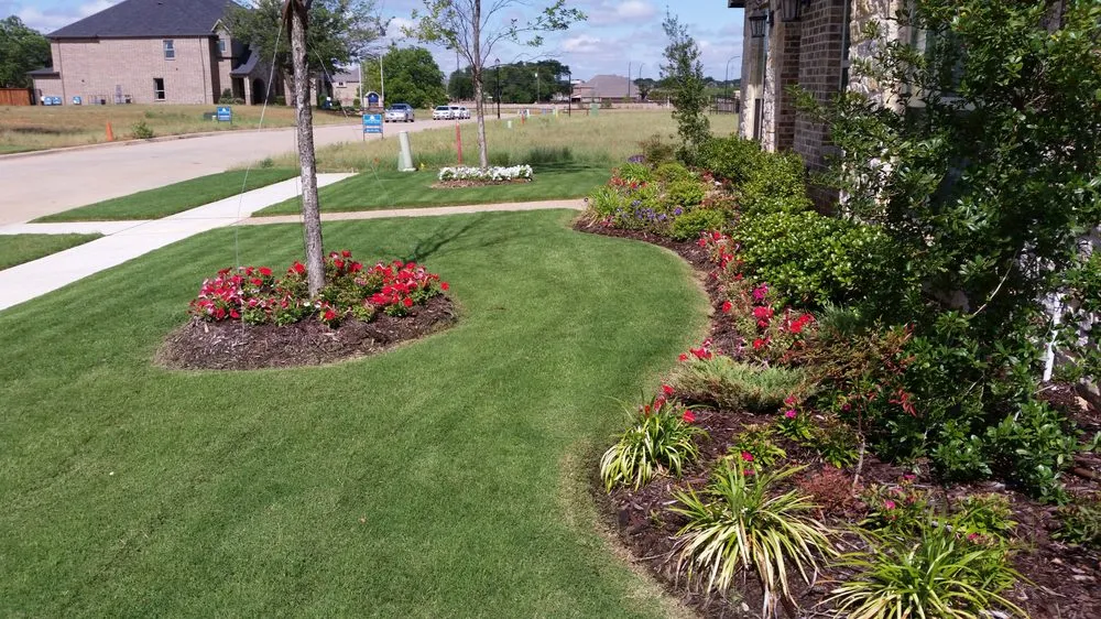 Professional yard cleanup service in Desoto, TX by Princess Cuts Lawncare and Landscaping