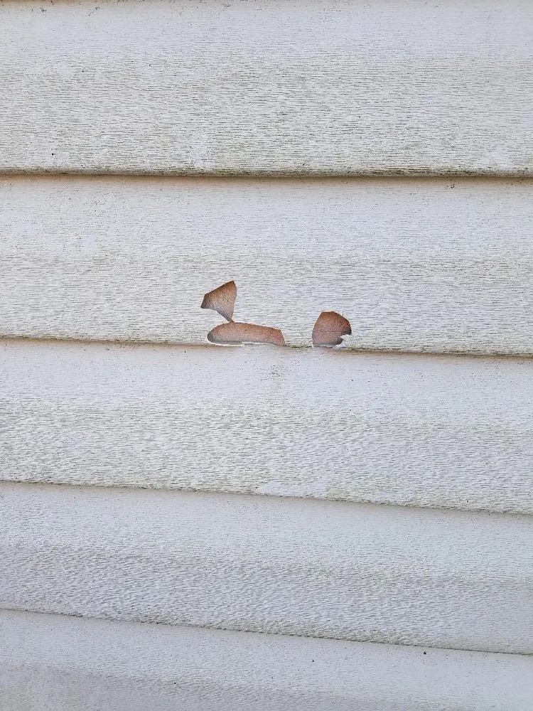 Professional landscaping services for beautiful yards in Robbinsville, NJ by Princeton Irrigation Specialists