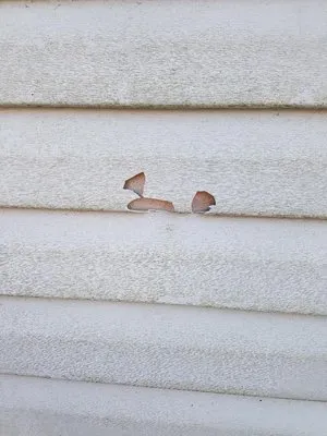 Princeton Irrigation Specialists