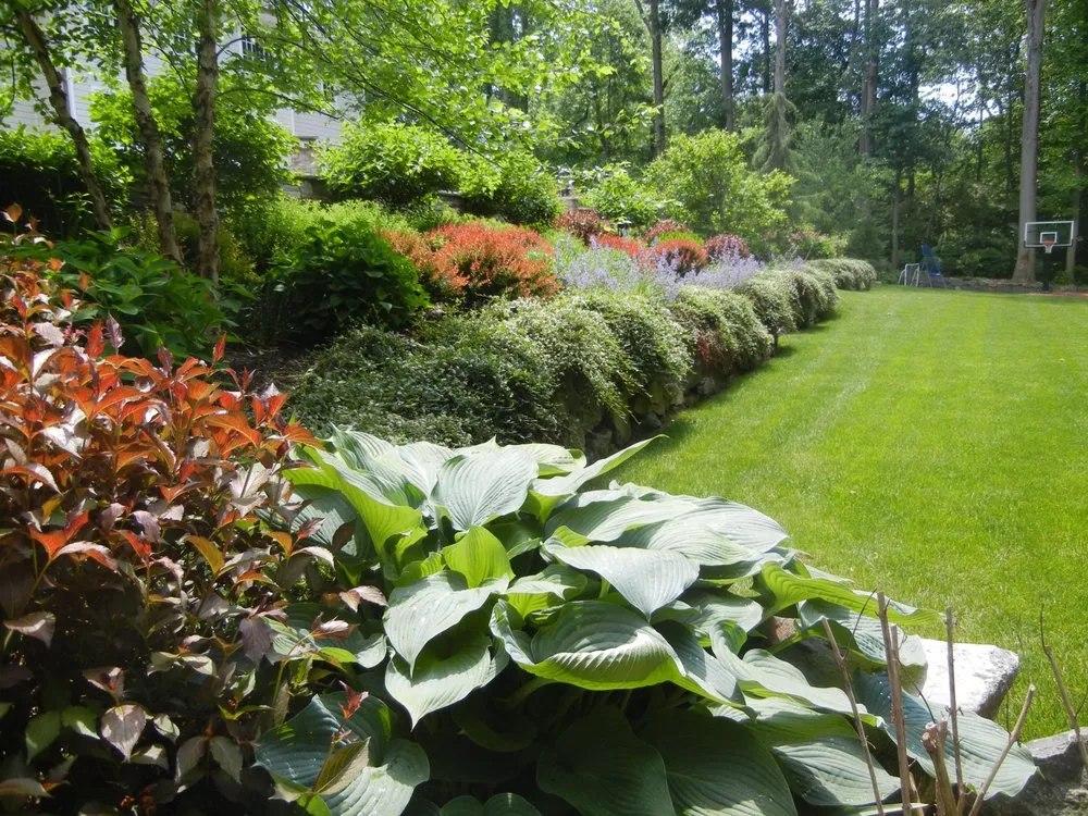 Reliable yard cleanup service in Princeton, NJ - Princeton Land Design