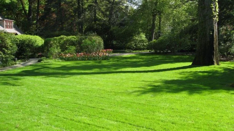 Top-rated yard maintenance in Princeton, NJ by Princeton Lawn & Landscapes