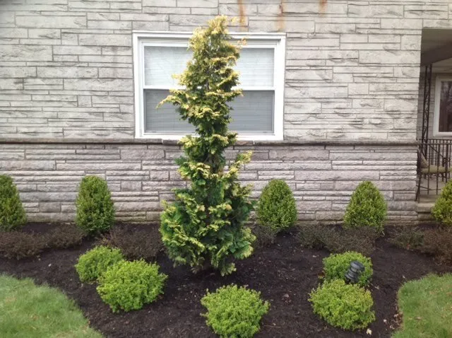 Top-rated outdoor landscaping in Princeton, NJ - Princeton Lawn & Landscapes