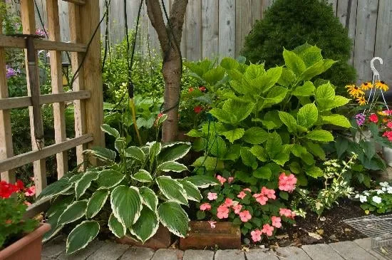 Expert landscape design in Princeton, NJ - Princeton Lawn & Landscapes