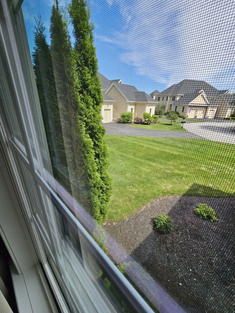 Trusted yard cleanup service experts serving Sterling, MA - Princeton Scapes