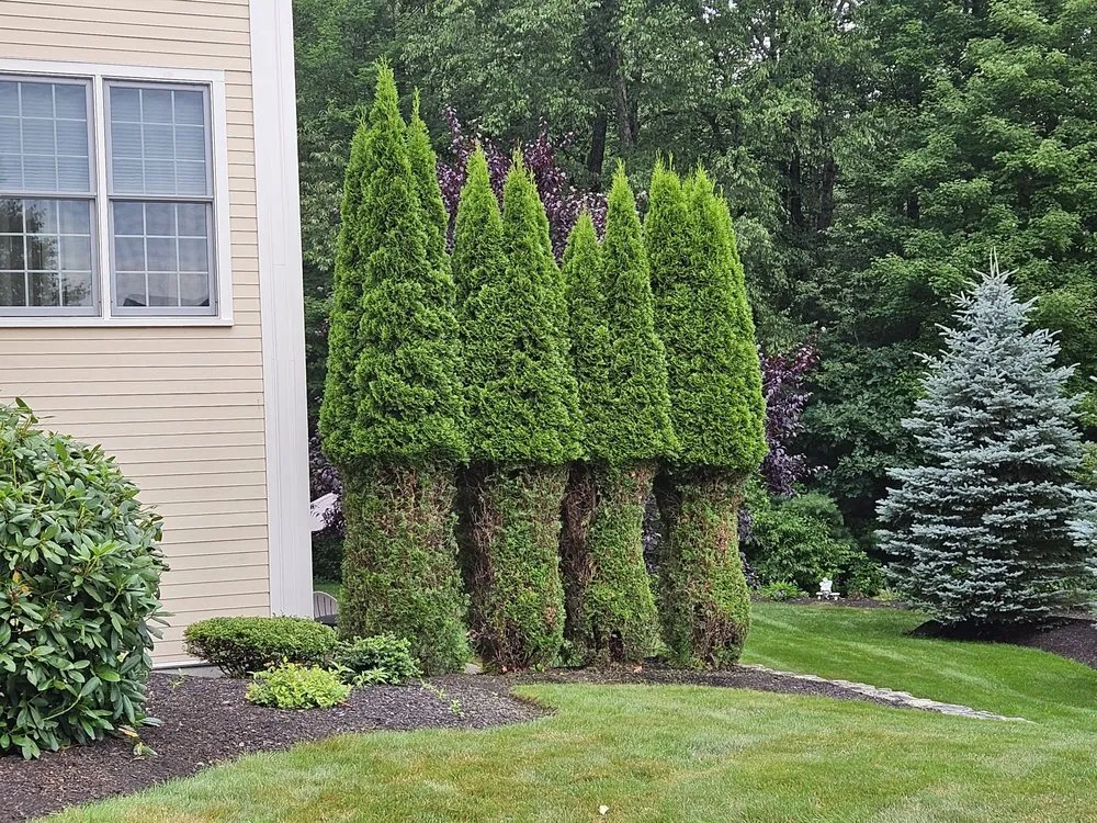 Custom garden landscaping experts serving Sterling, MA - Princeton Scapes