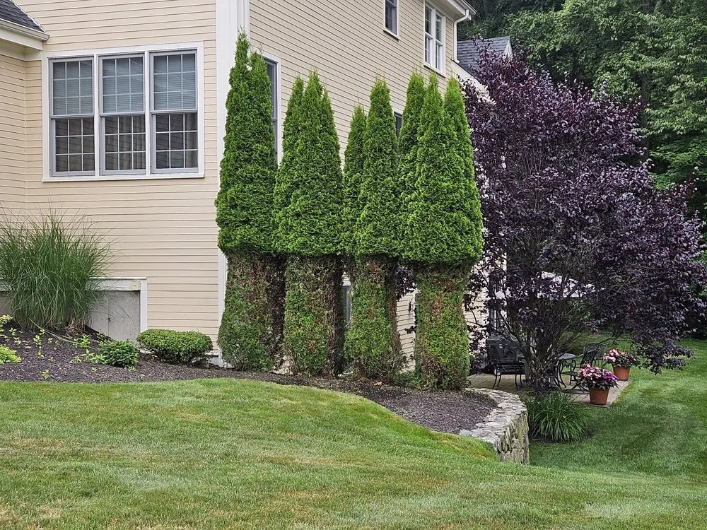 Expert lawn care service for homes in Sterling, MA by Princeton Scapes
