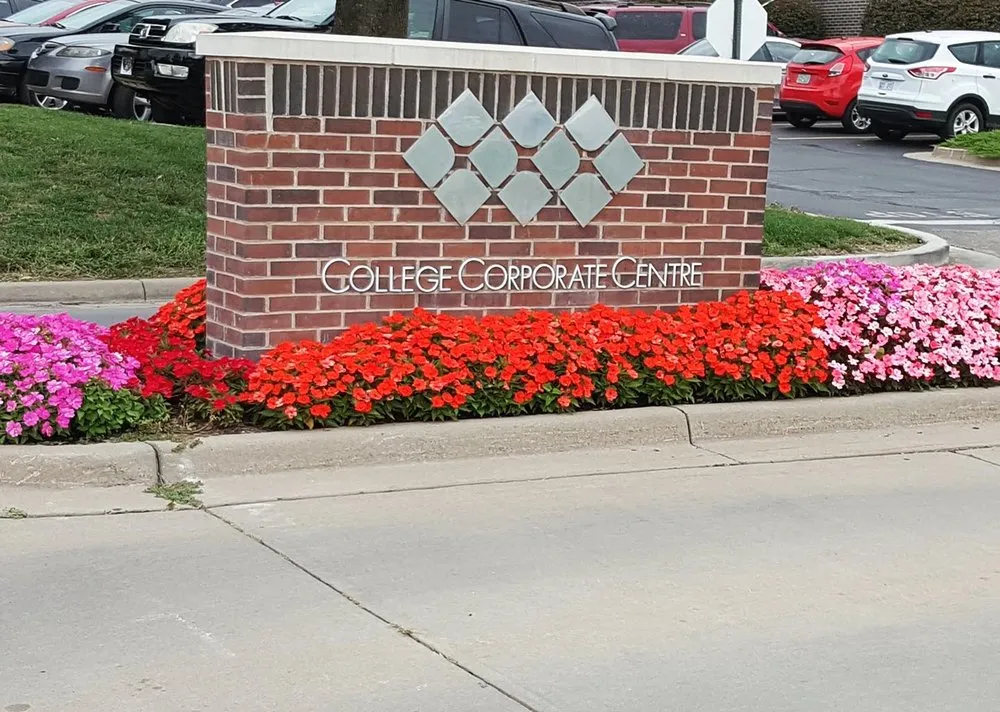 Affordable yard cleanup service for residential properties in Kansas City, KS by Principal Landscape Group