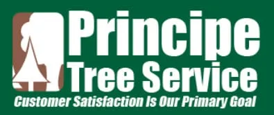 Local garden landscaping near you in Culpeper, VA by Principe Tree Service