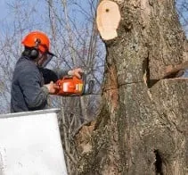 Custom landscape design in Culpeper, VA by Principe Tree Service