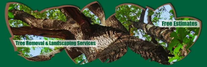 Top-rated garden landscaping for residential properties in Culpeper, VA by Principe Tree Service