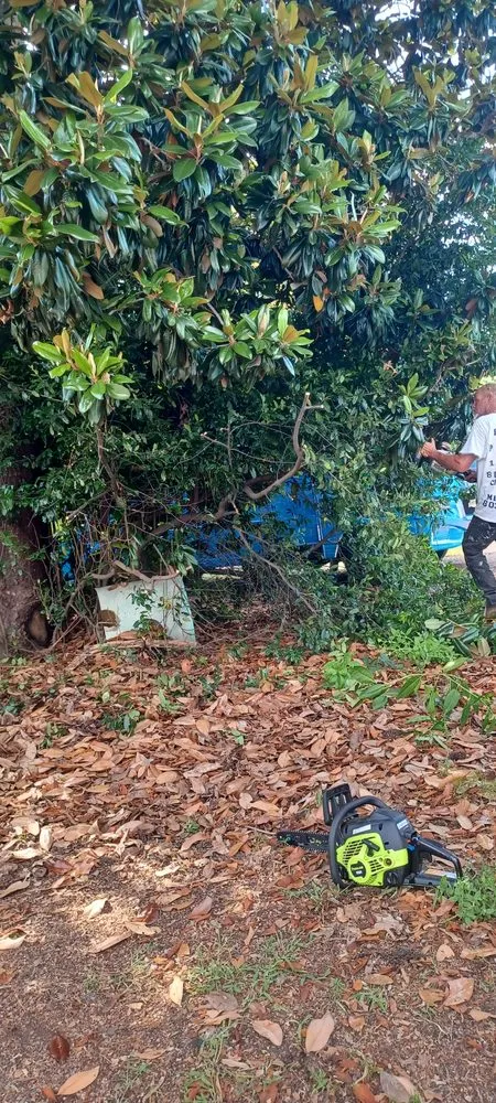 Affordable lawn mowing service in Lexington, SC - Prines Pressure Washing