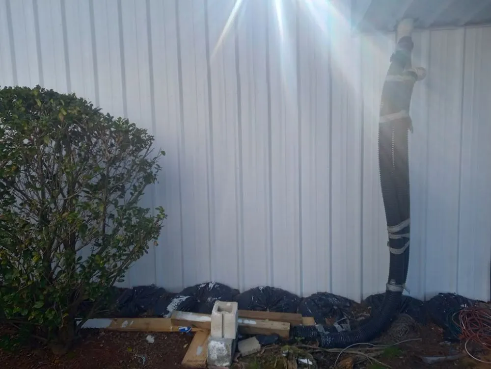 Affordable yard cleanup service for year-round maintenance in Lexington, SC by Prines Pressure Washing