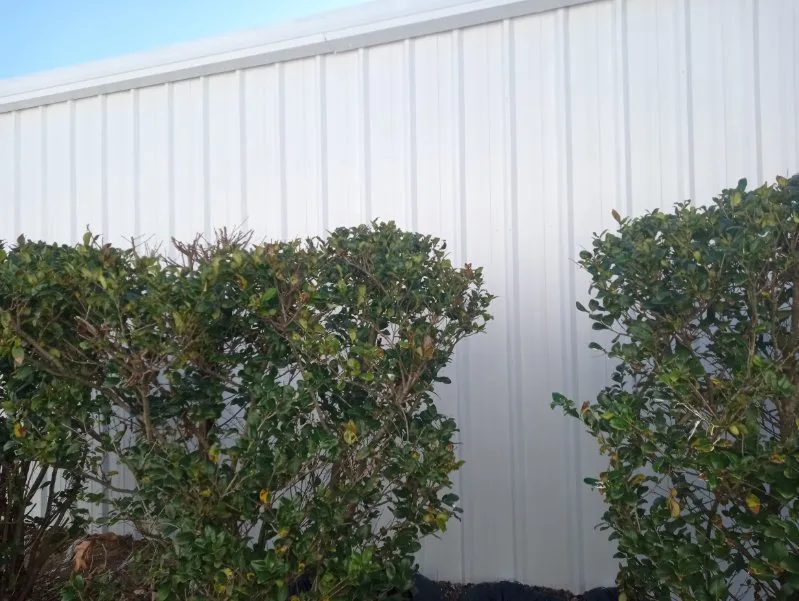 Trusted lawn care service experts serving Lexington, SC - Prines Pressure Washing