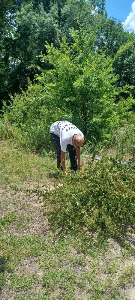 Top-rated residential landscaping in Lexington, SC by Prines Pressure Washing