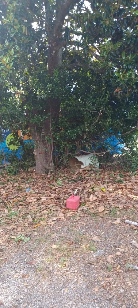 Custom landscape design for residential properties in Lexington, SC by Prines Pressure Washing