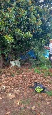 Prines Pressure Washing Logo