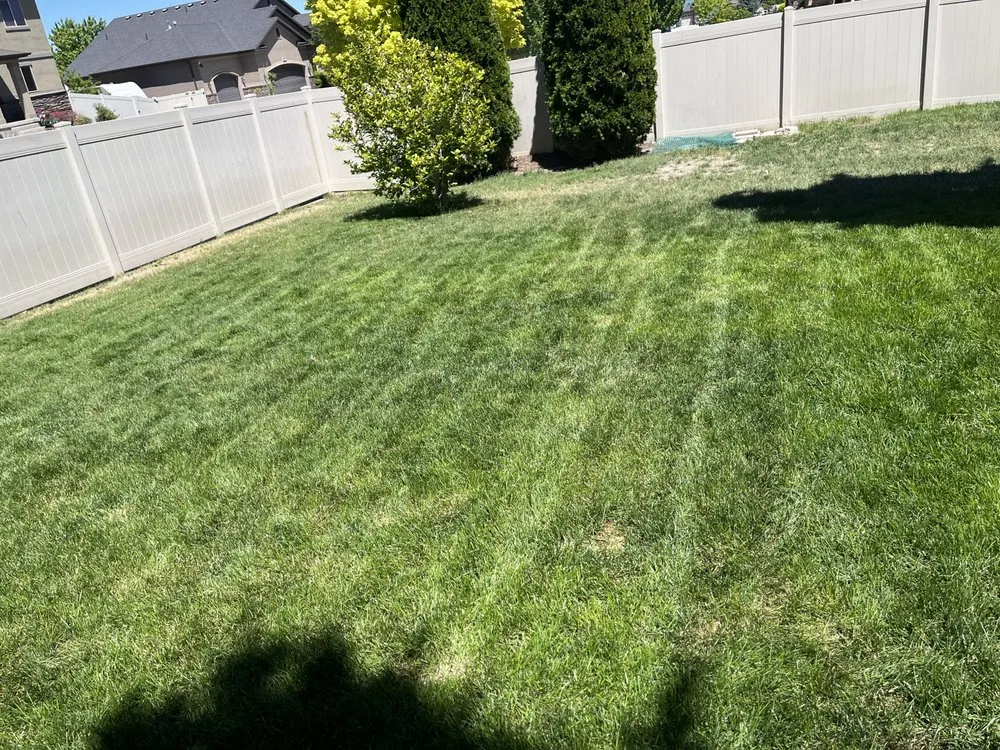 Top-rated yard cleanup service experts serving West Jordan, UT - Pringles Mowing