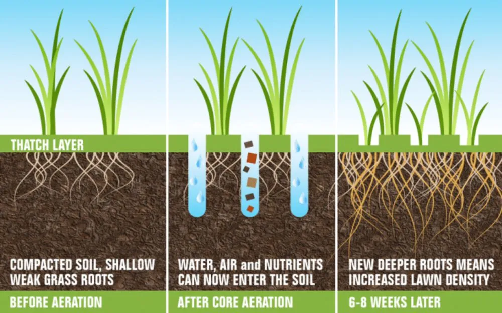 Local outdoor landscaping in Adkins, TX by Priority 1 Lawn Care