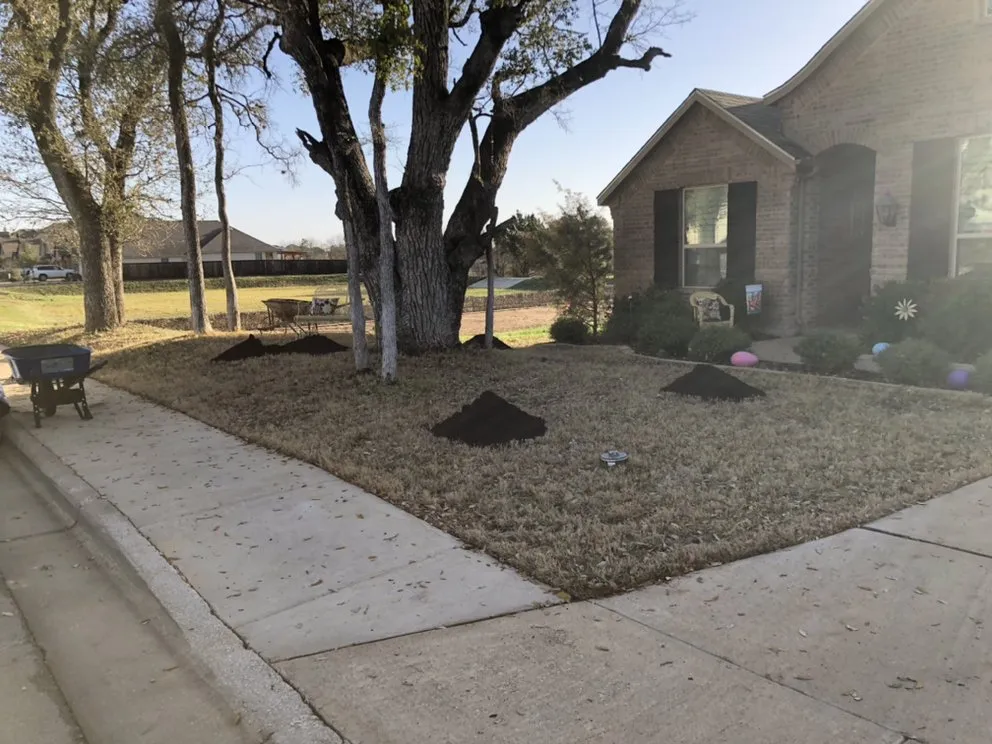 Expert landscape design in Adkins, TX - Priority 1 Lawn Care