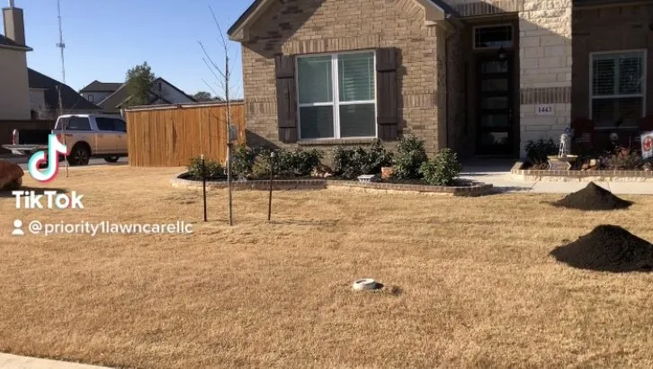 Top-rated outdoor landscaping for year-round maintenance across Adkins, TX - Priority 1 Lawn Care