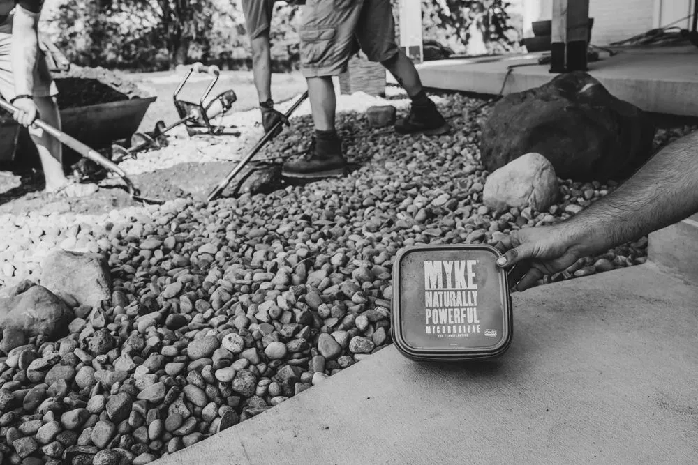 Affordable outdoor landscaping experts serving Emma, MO - Priority Care Lawn and Landscape